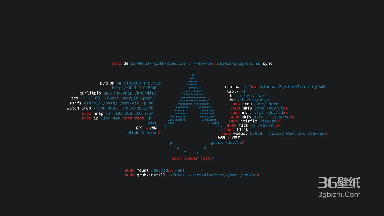 上市 “首发亮相”